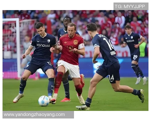 足球明星豪赌背后的故事与精彩瞬间全记录